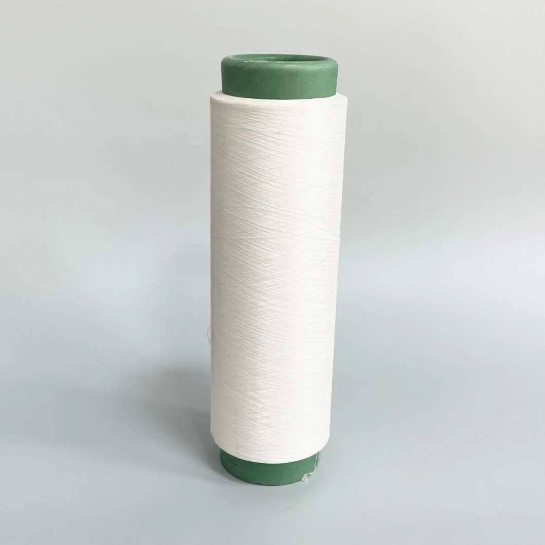 Eco-Friendly Polyester Filament Yarn for Knitting Home Textile (magic elastic &amp; cotton plus)